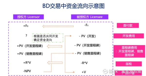 邦乾配倍 医药股牛市：BD价值怎么计算