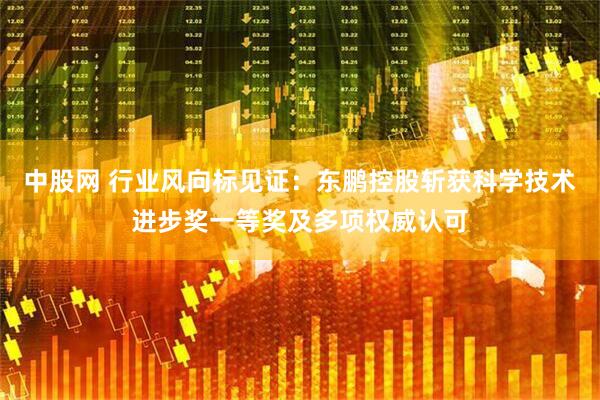 中股网 行业风向标见证：东鹏控股斩获科学技术进步奖一等奖及多项权威认可