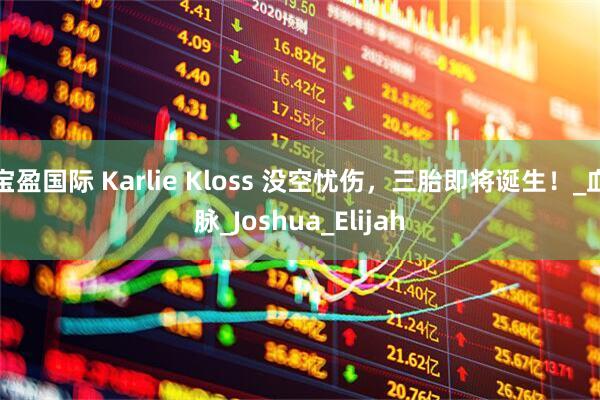 宝盈国际 Karlie Kloss 没空忧伤，三胎即将诞生！_血脉_Joshua_Elijah