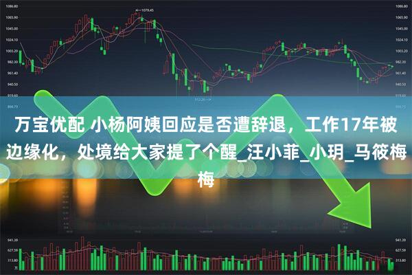 万宝优配 小杨阿姨回应是否遭辞退，工作17年被边缘化，处境给大家提了个醒_汪小菲_小玥_马筱梅