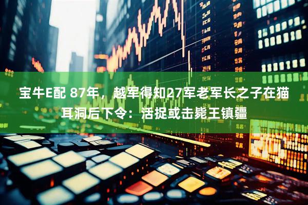宝牛E配 87年，越军得知27军老军长之子在猫耳洞后下令：活捉或击毙王镇疆